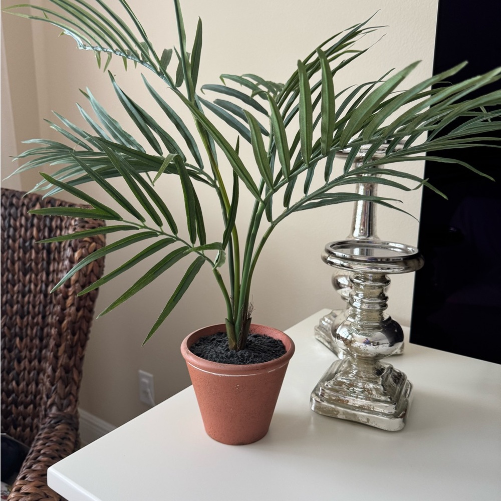 Pottery Barn Small Faux Fish Tail Palm with Terracotta Pot